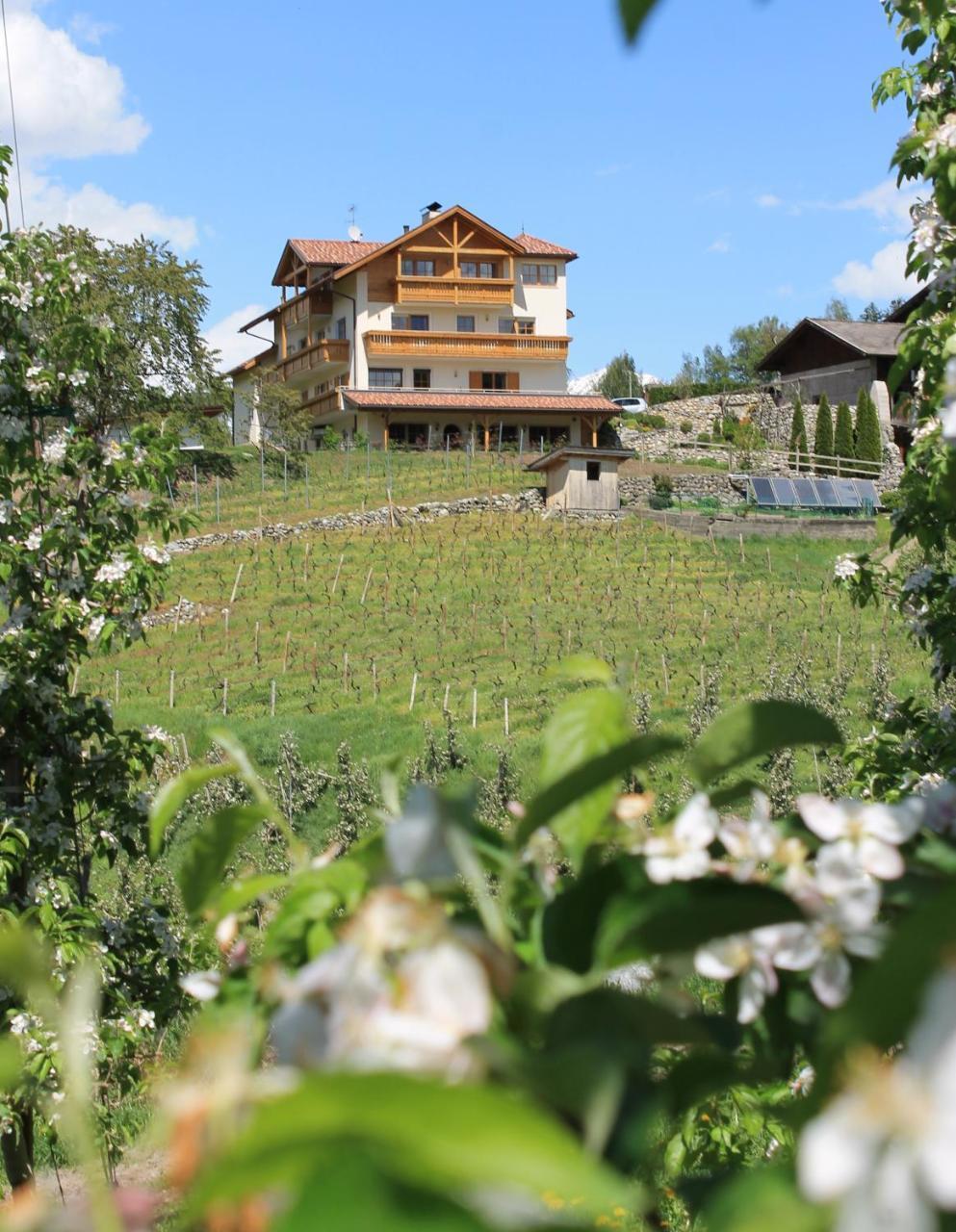 Trinnerhof- Hof Chalets Und Obsthof Mit Zimmer Natz-Schabs Esterno foto