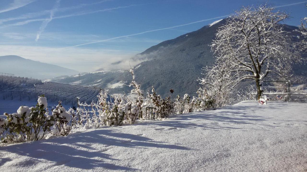 Trinnerhof- Hof Chalets Und Obsthof Mit Zimmer Natz-Schabs Esterno foto